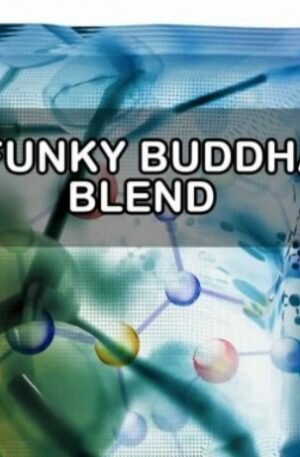 Buy Funky Buddha Blend UK