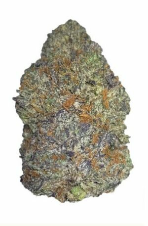 Buy Apple Fritter Weed UK (33.5% THC)